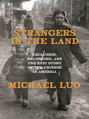 Strangers in the Land - ebook